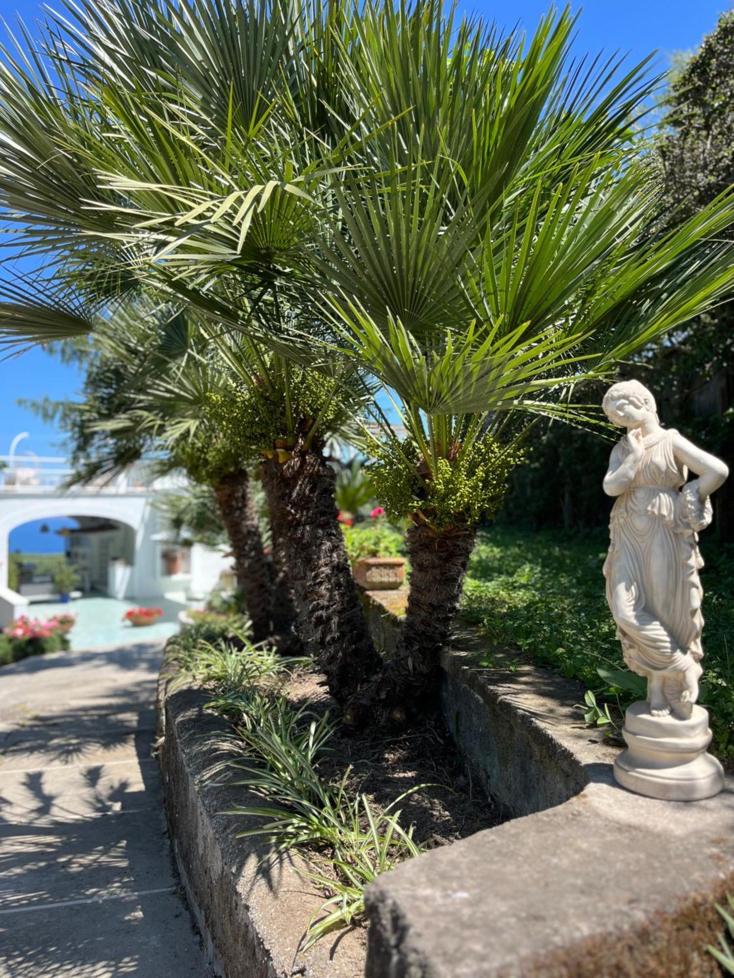 Guest house Olive Tree Garden Sorrento
