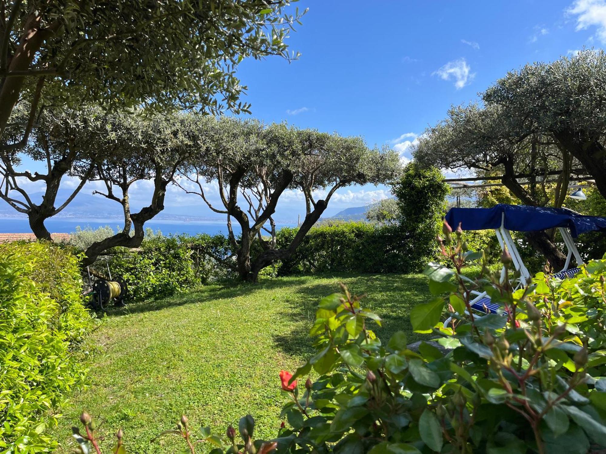 Olive Tree Garden Guest house 2*
