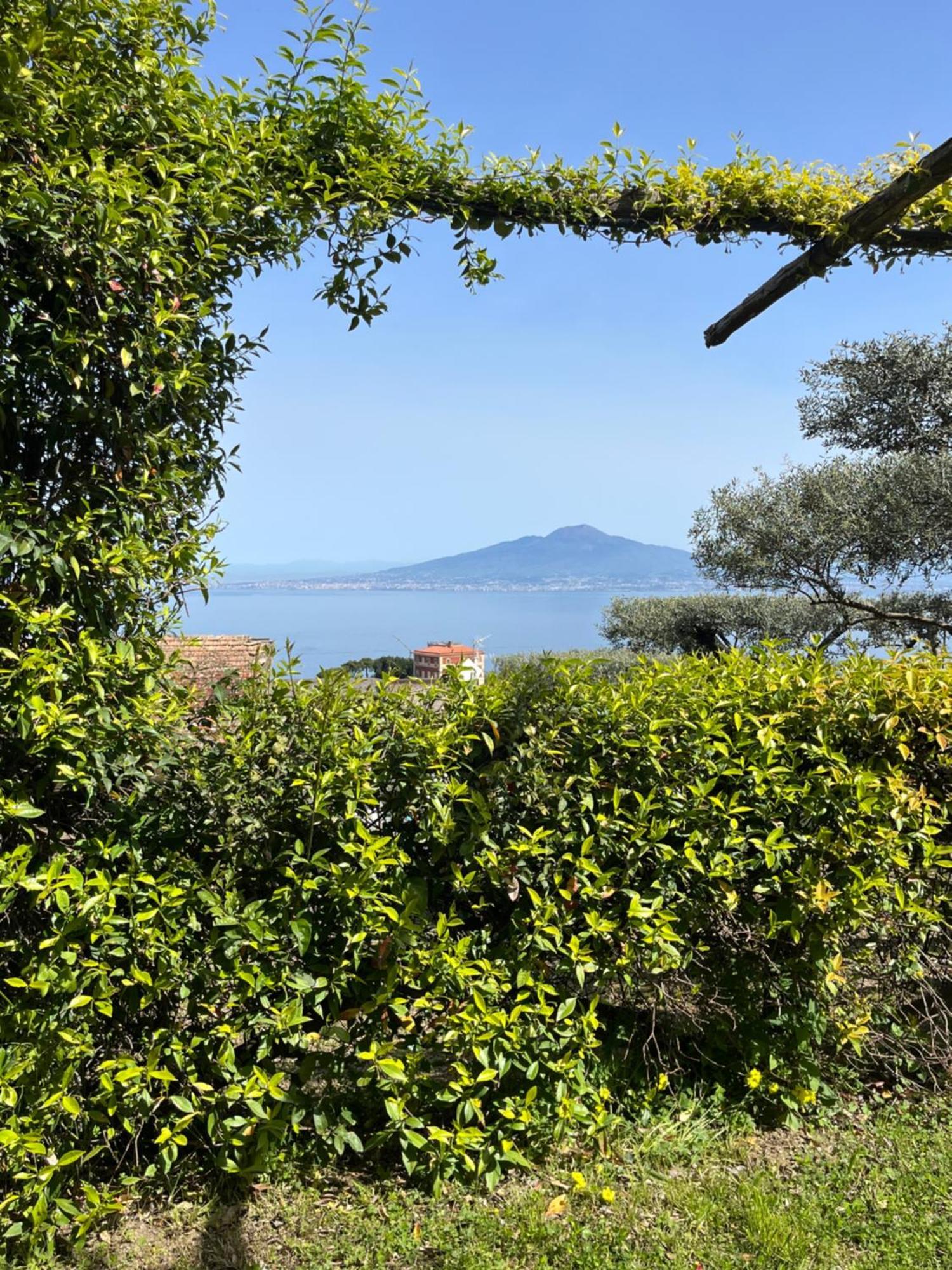 Guest house Olive Tree Garden Sorrento