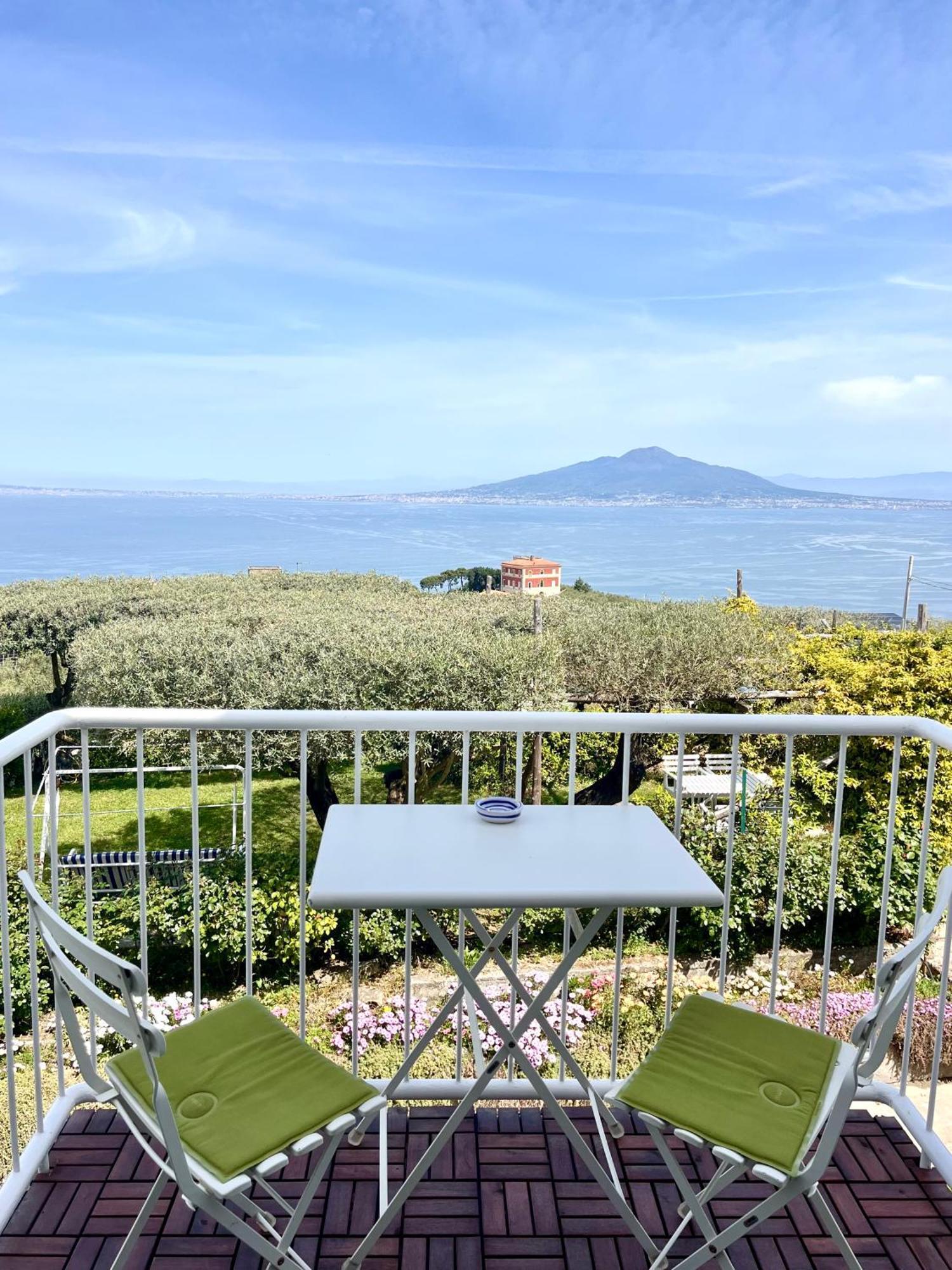 Olive Tree Garden Guest house 2*